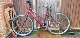 apollo cx10 ladies